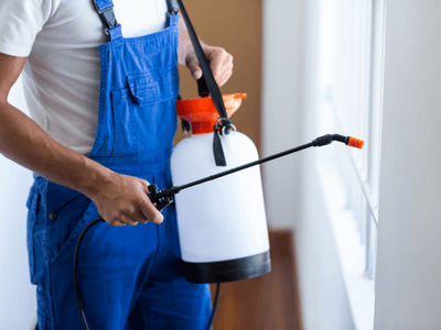 About Exterminator in Tarpon Springs FL - exterminator experts in Tarpon Springs