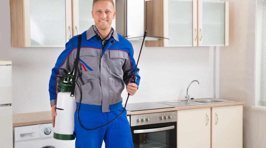 Professional exterminator services in Tarpon Springs - Exterminator in Tarpon Springs FL